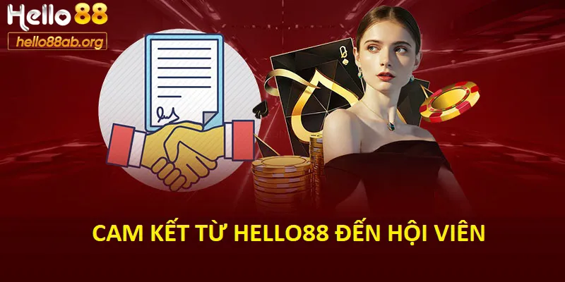 Cam kết từ Hello88 đến hội viên