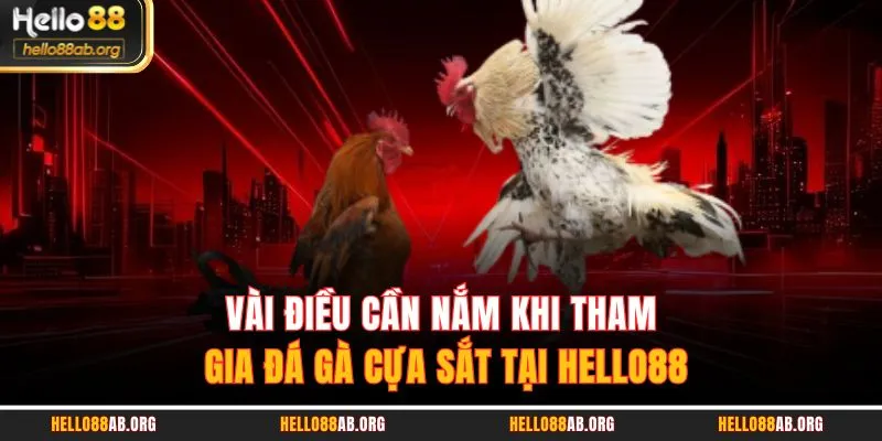 Vài điều cần nắm khi tham gia đá gà cựa sắt tại HELLO88